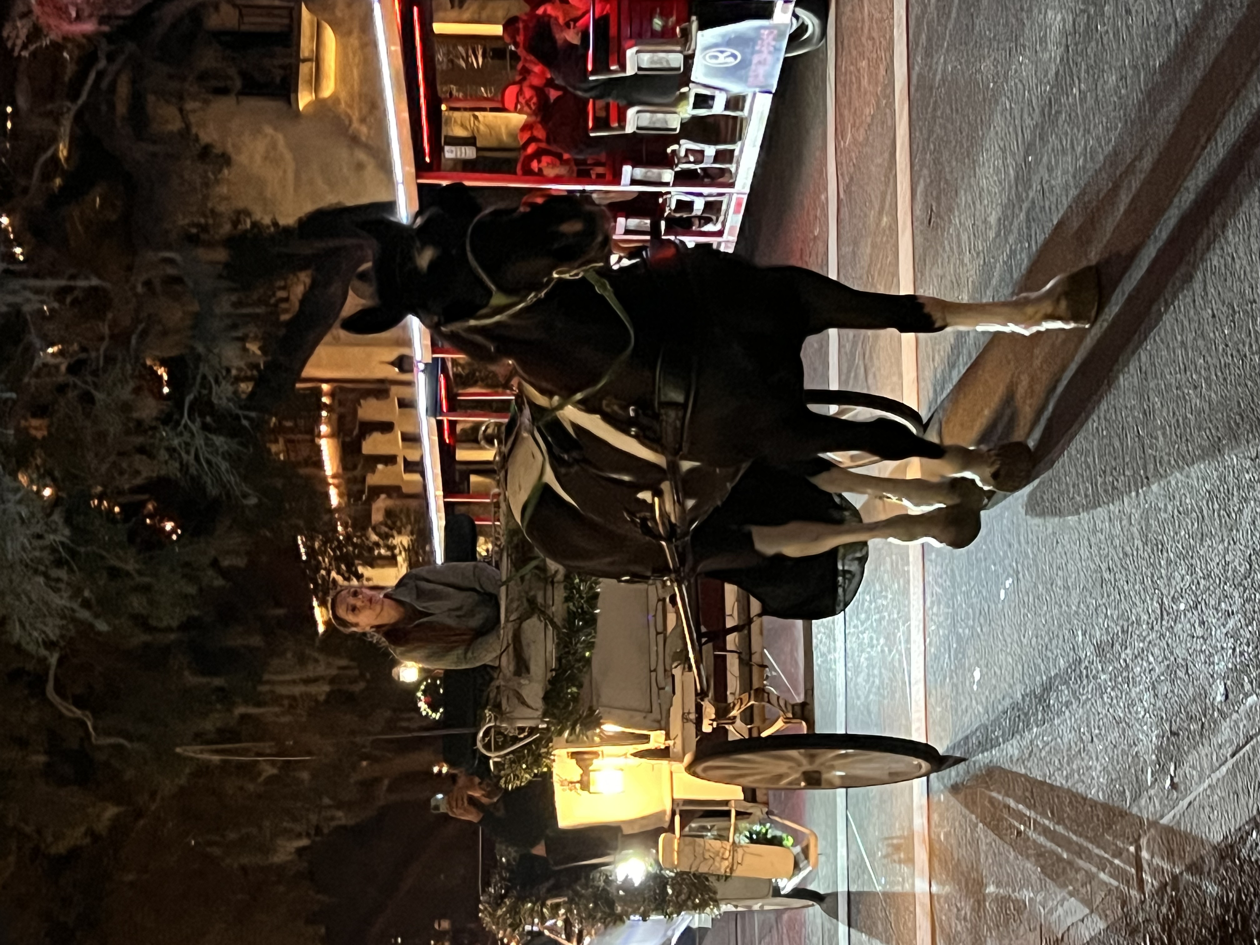 ./2022/13 - St Augustine/IMG_5033.JPG